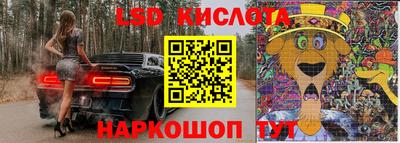 шишки Лесосибирск