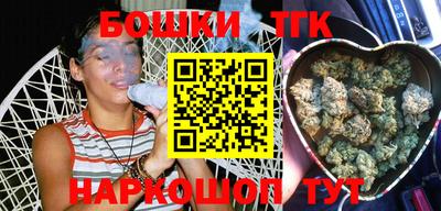 шишки Лесосибирск