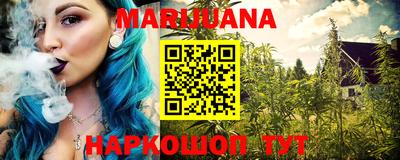 шишки Лесосибирск