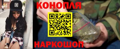 шишки Лесосибирск