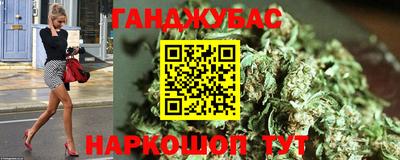 шишки Лесосибирск