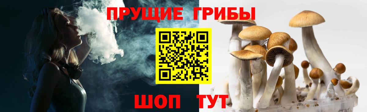Усть-Илимск  Галлюциногенные грибы мухоморы  Вход с VPN 